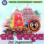 Jay Jagannath
