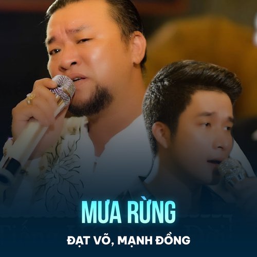 Mưa Rừng_poster_image