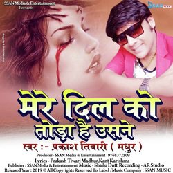 Mere Dil Ko Toda hai Usne-FhsxQjF9Y34