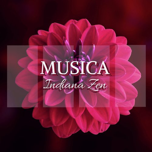 Musica Spa cover art