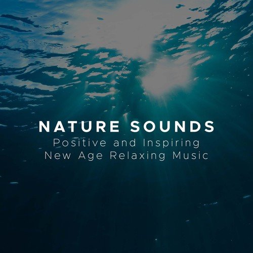 Nature White Noise (Rain)