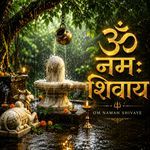Om Namah Shivaye