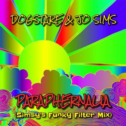 PARAPHERNALIA (Simsy's Funky Filter Mix) cover art