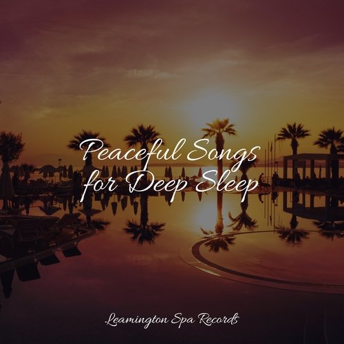 Peaceful Songs for Deep Sleep