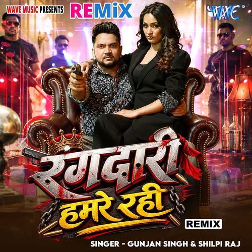 Rangdari Hamre Rahi - Remix