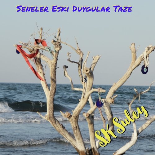 Tarkan Aga Geçcekmi? cover art
