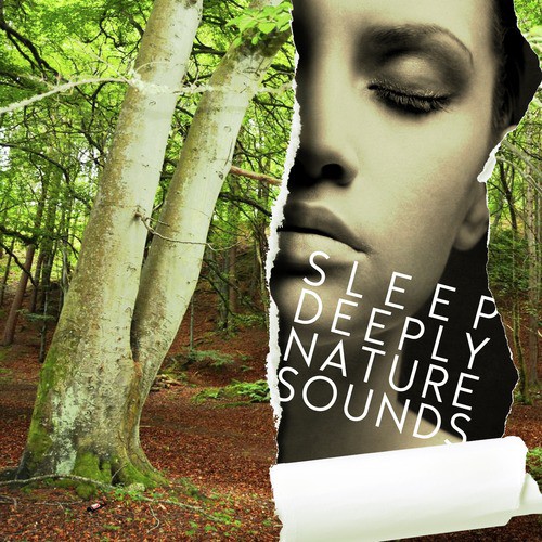 Brook Bird Song cover art