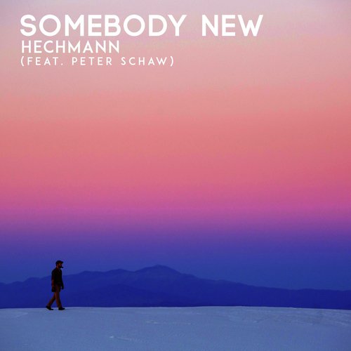 Somebody New (feat. Peter Schaw)_poster_image