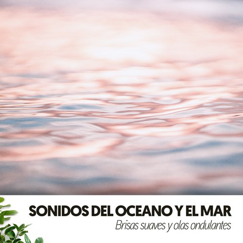 Olas de Relajación cover art
