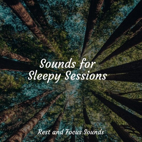 Sounds for Sleepy Sessions_poster_image