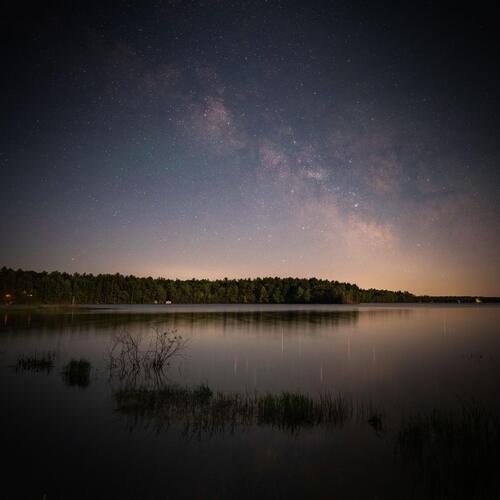 Sounds of Frogs in a Lake on a Summer's Night