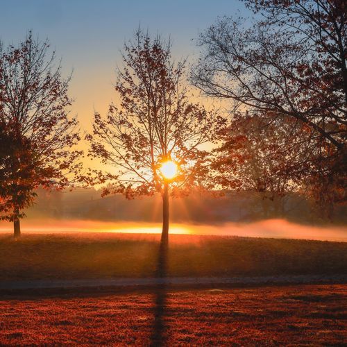 Sunbeams