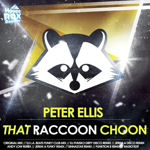 That Raccoon Choon (DJ Funsko Dirty Disco Remix) cover art
