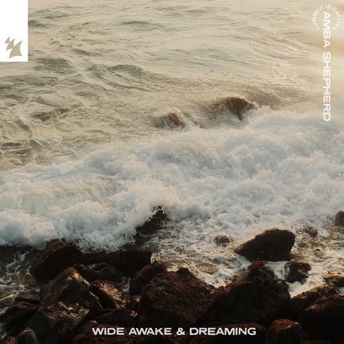 Wide Awake & Dreaming