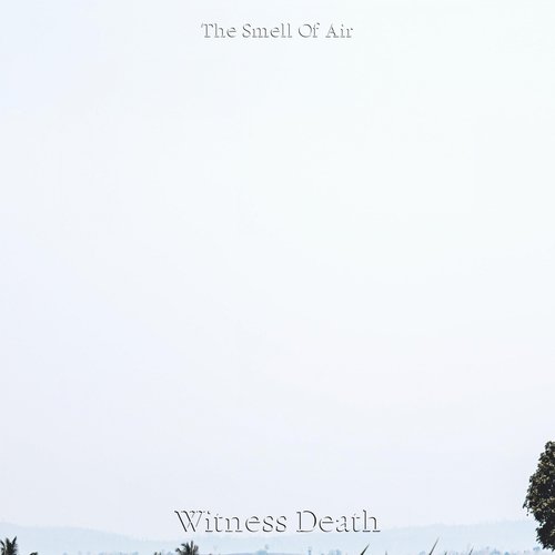 Witness Death