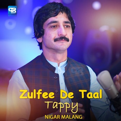 Zulfee De Taal