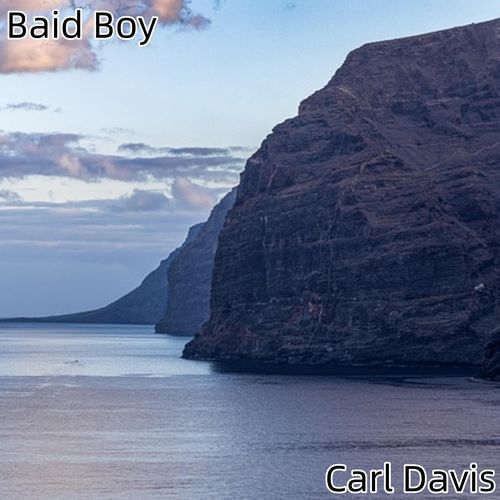 Baid Boy_poster_image