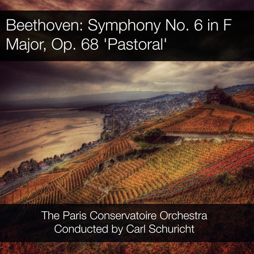 Symphony No. 6 in F Major, Op. 68: I. Allegro ma non troppo