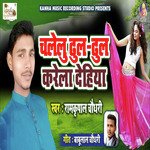 Chalelu Dhul Dhul Karel Dehiya