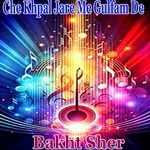 Che Khpal Jare Me Gulfam De