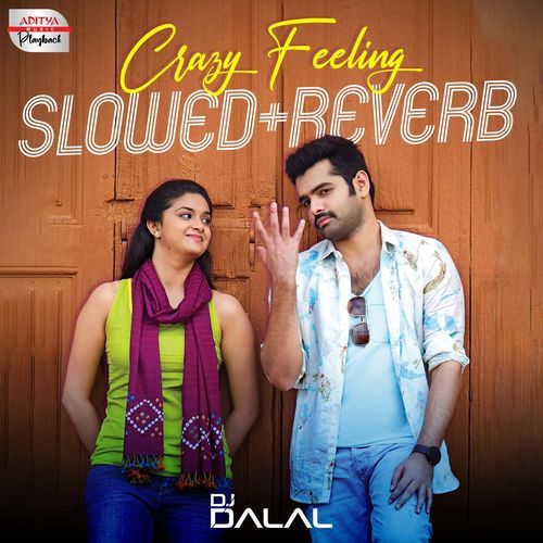 Crazy Feeling Slowed and Reverb (From "Nenu Sailaja")_poster_image