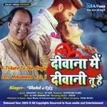 Deewana Main Deewani Tu Hai Movie Poster Deewana Main Deewani Tu Hai movie poster