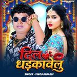 Dil Dhadkawelu