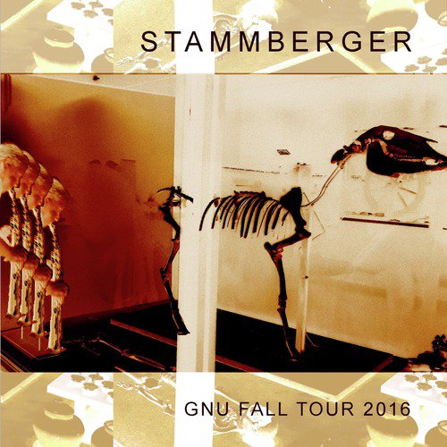 Stammberger with Freenetics cover art