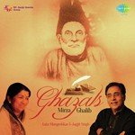 Woh Firaaq Aur Woh Visal Kahan (From &quot;Mirza Ghalib - Jagjit, Chitra Singh&quot;)