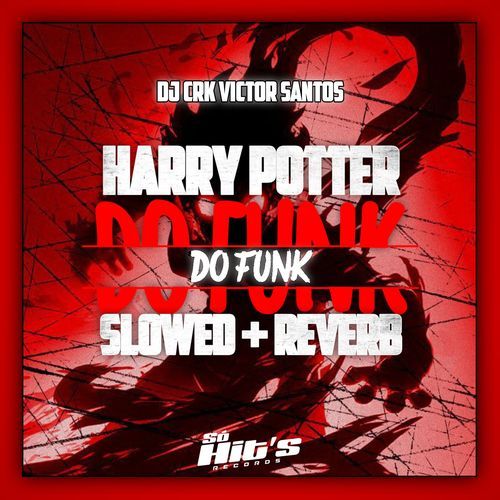 HARRY POTTER DO FUNK (Slowed + Reverb)