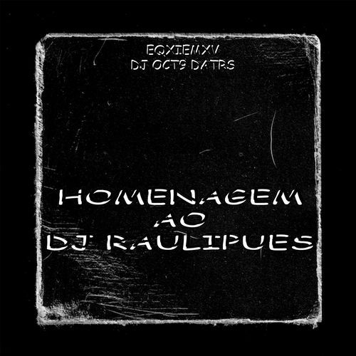 HOMENAGEM AO DJ RAULIPUES cover art