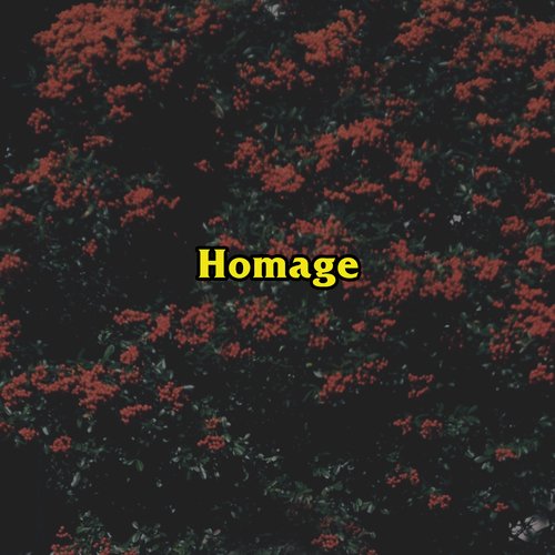 Homage_poster_image