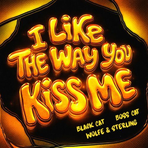 I Like the Way You Kiss Me (Techno)