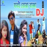 Jotoi Tora Baja Dj (Bengali)