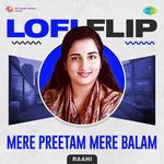 Mere Preetam Mere Balam LoFi Flip artwork