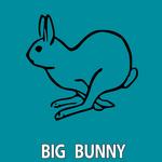 Big Bunny