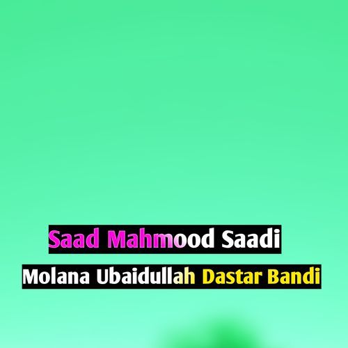 Molana Ubaidullah Dastar Bandi