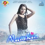 Namkin