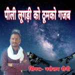 Peeli Lugadi Ko Thumko Gajab