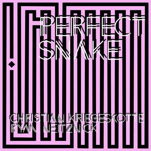 Perfect Snake: Improvisations for Two Guitars