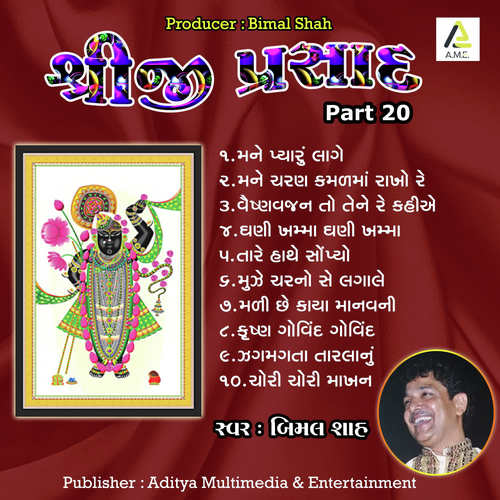 Shreeji Prasad Pt.20Shreenathji Sankirtan Songs Download