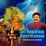 Sri  Nagaraja Keerthanam