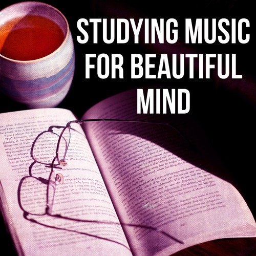 Studying Music For Beautiful Mind Classical Anti Stress Music For
