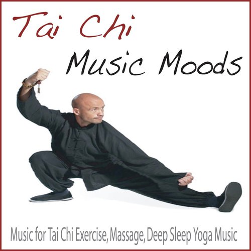 Yin cover art