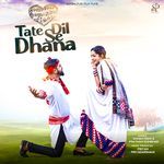 Tate Dil Se Dhana