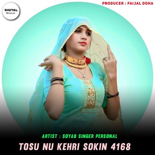 Tosu Nu Kehri Sokin 4168
