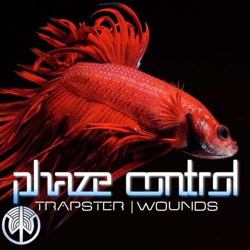 Phaze Control