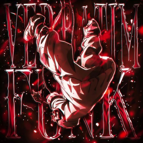 VERBATIM FUNK