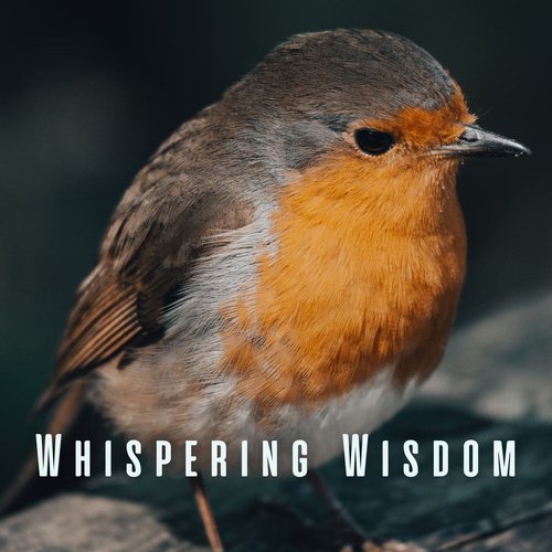 Serene Feathered Whispers 