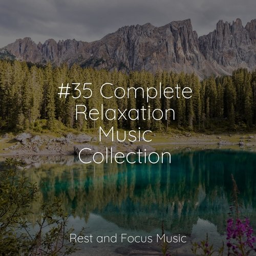 #35 Complete Relaxation Music Collection